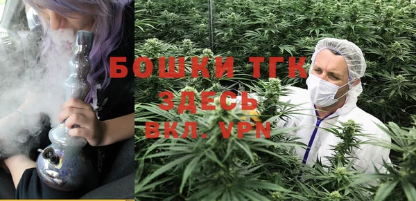 мет Аркадак