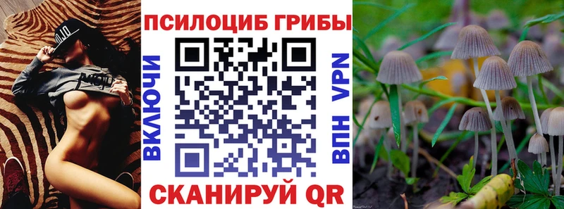 Купить где  Углич  Галлюциногенные грибы MAGIC MUSHROOMS 